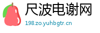 尺波电谢网